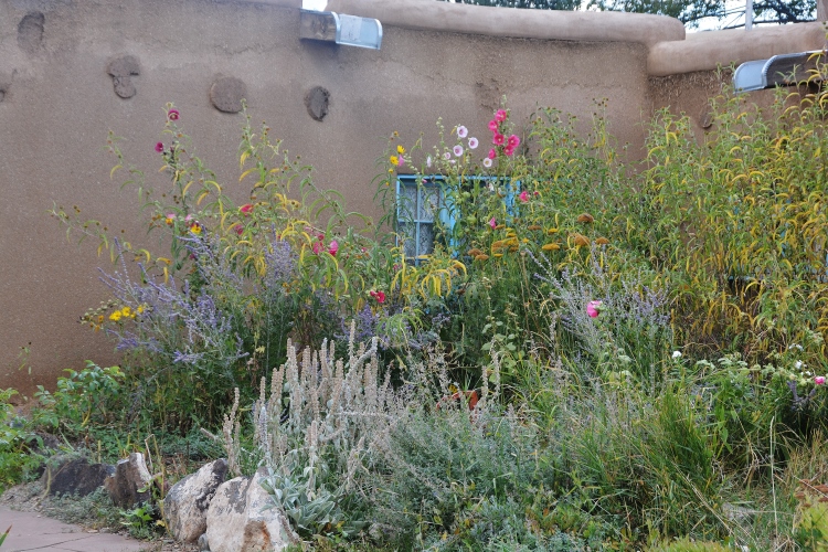 flower garden